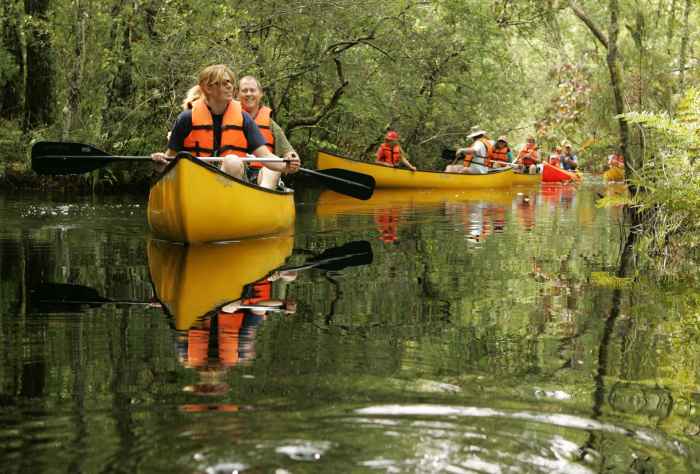 Trekking blanc mont adventures tour tourradar