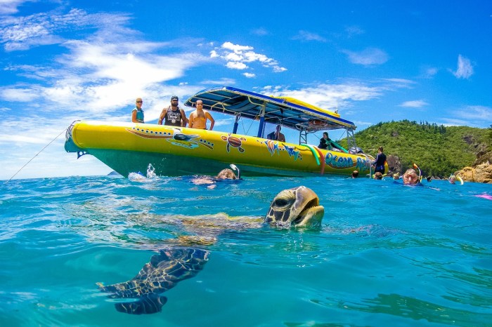 Whitehaven whitsundays airlie rafting jet snorkel