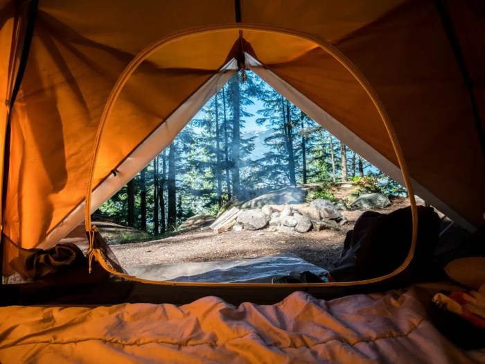 Adventure camping trips