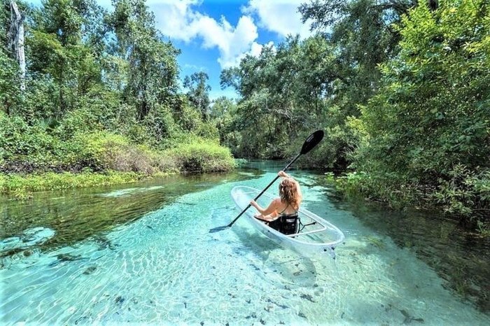 Canyons zipline ocala tripstodiscover