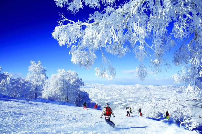 Winter adventure vacations