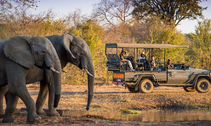 Safari africa south kruger park holidays holiday national elephant luxury game