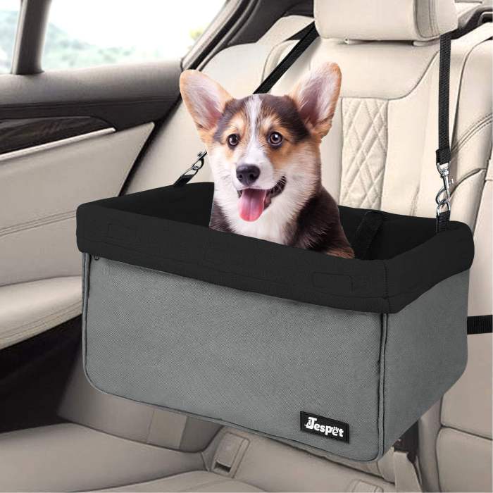 Pet seat belts for dogs in cars