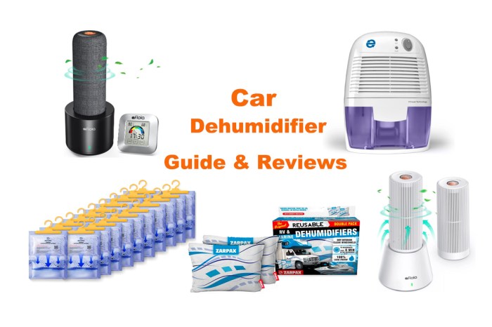 Best dehumidifiers for car interiors