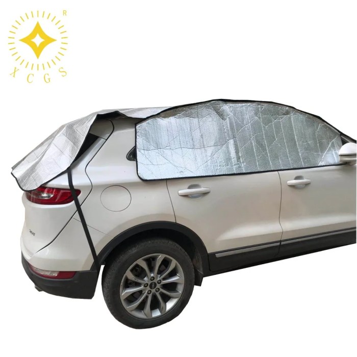 Windshield cmp