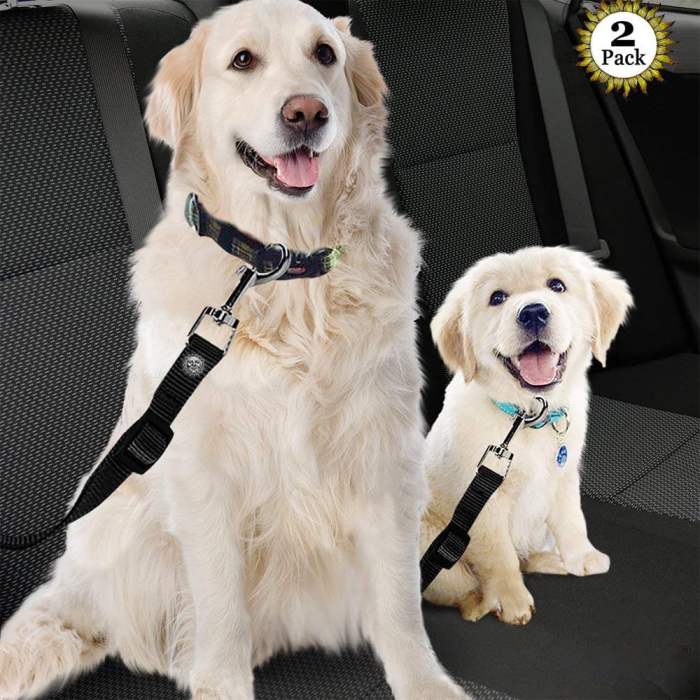 Pet seat belts for dogs in cars
