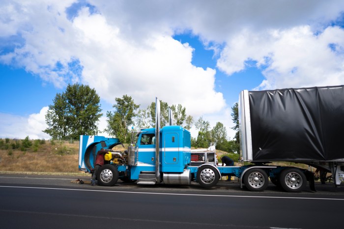 Semi-truck repair franchises for sale