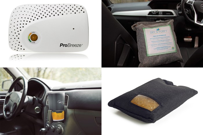 Best dehumidifiers for car interiors