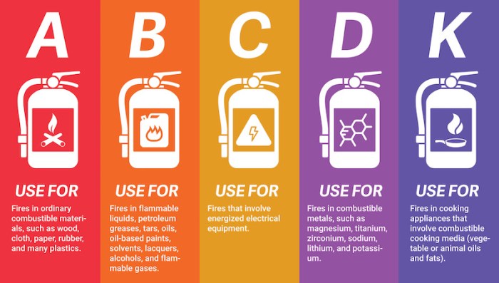 Fire extinguishers for electric vehicles